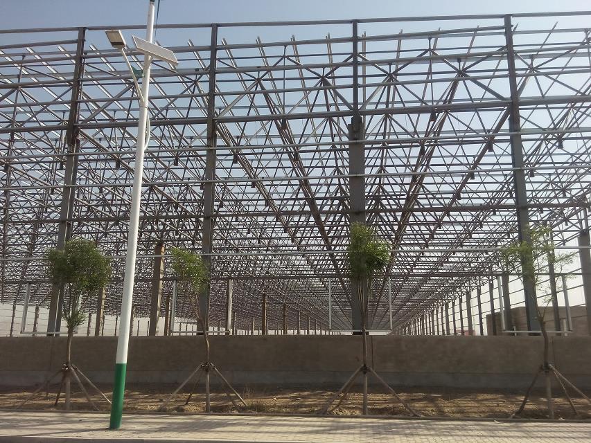 广安汽车工业厂房网架